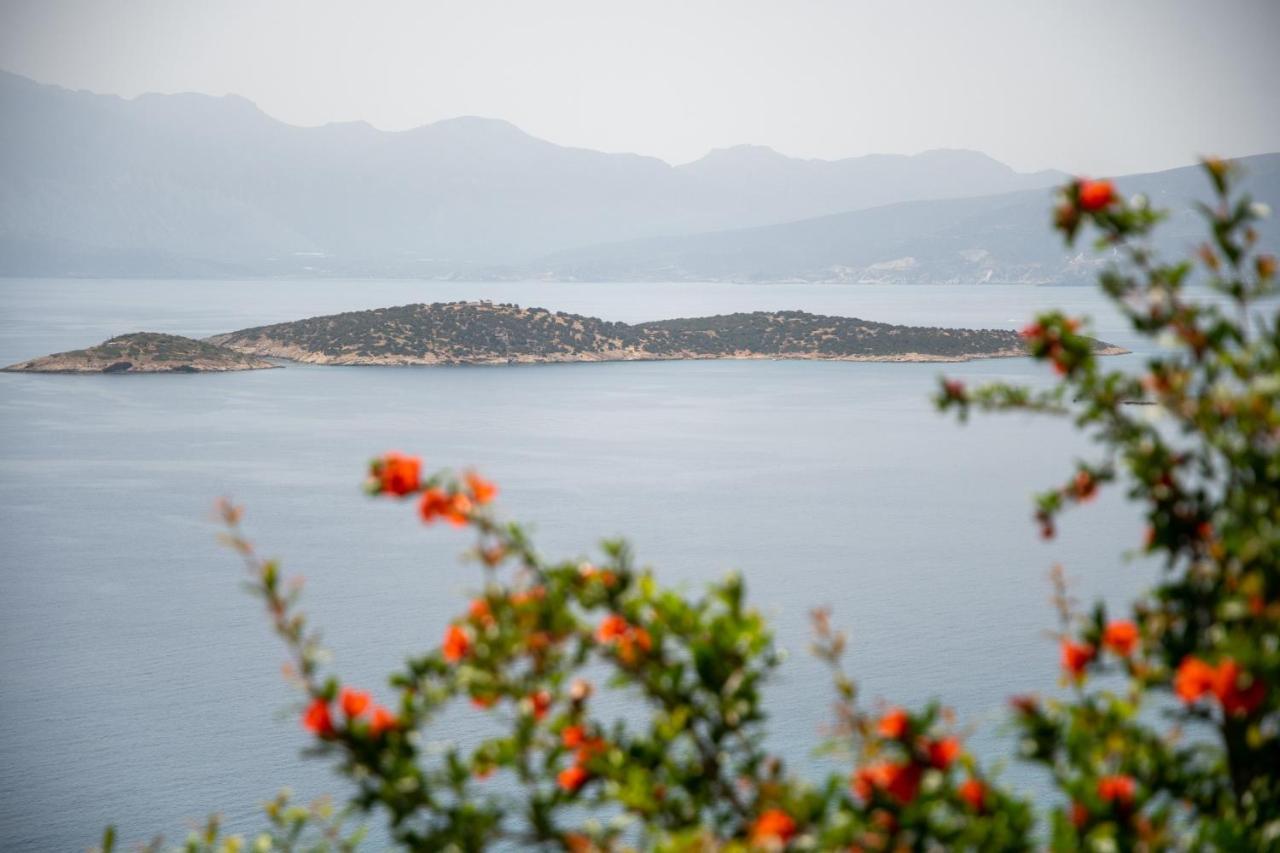 Miracle View Villas Agios Nikolaos Extérieur photo