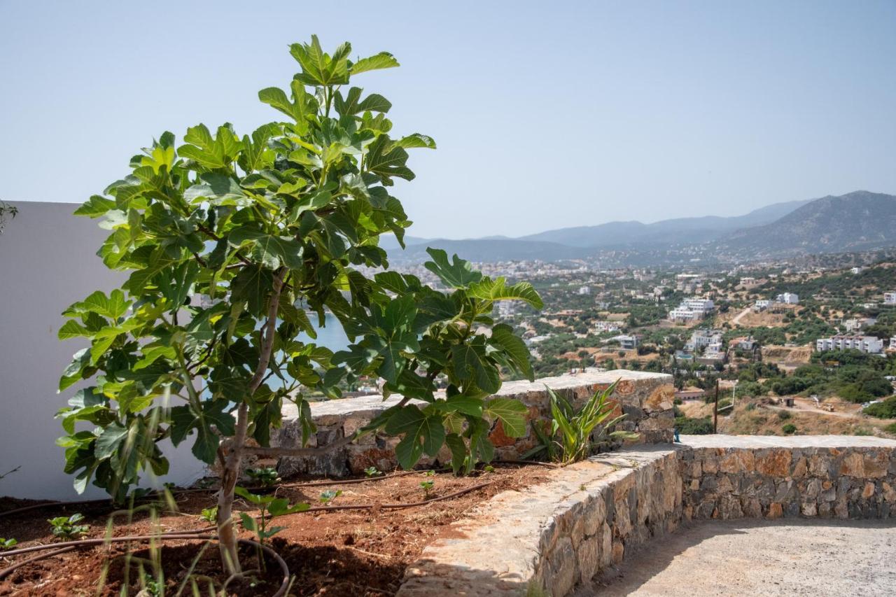 Miracle View Villas Agios Nikolaos Extérieur photo